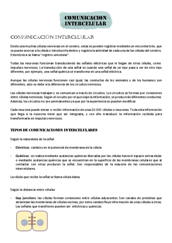 Miniatura del documento Parcial-2.pdf