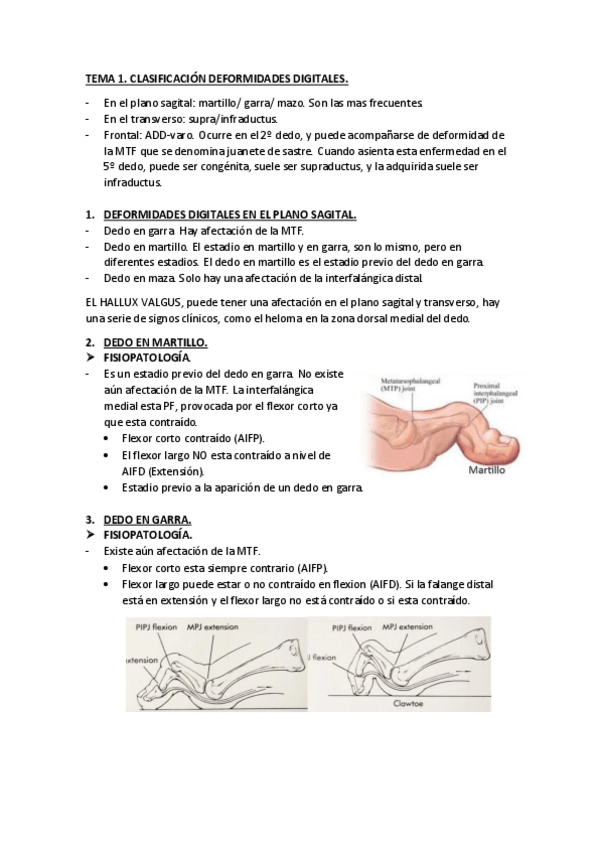 Miniatura del documento TEMA-1.pdf