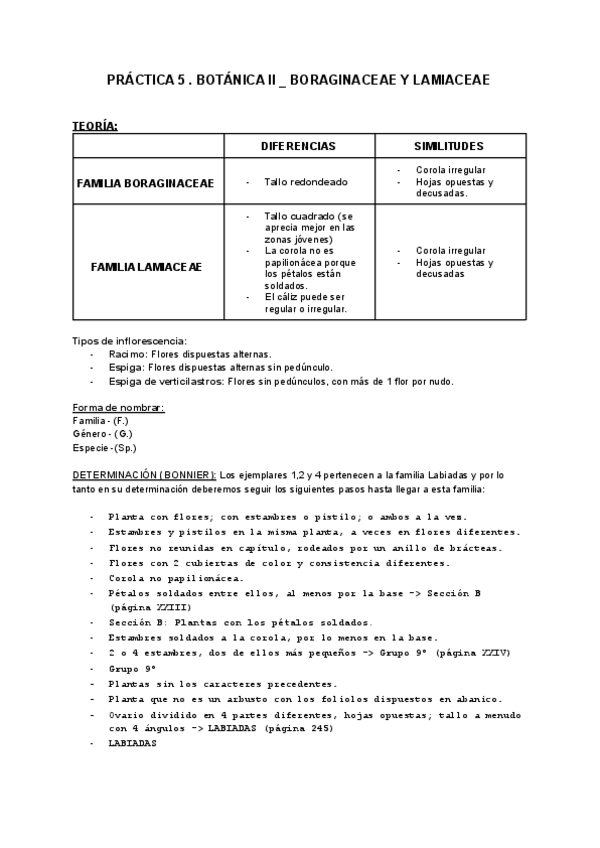 Miniatura del documento PRACTICA-5-BOTANICA-II.pdf
