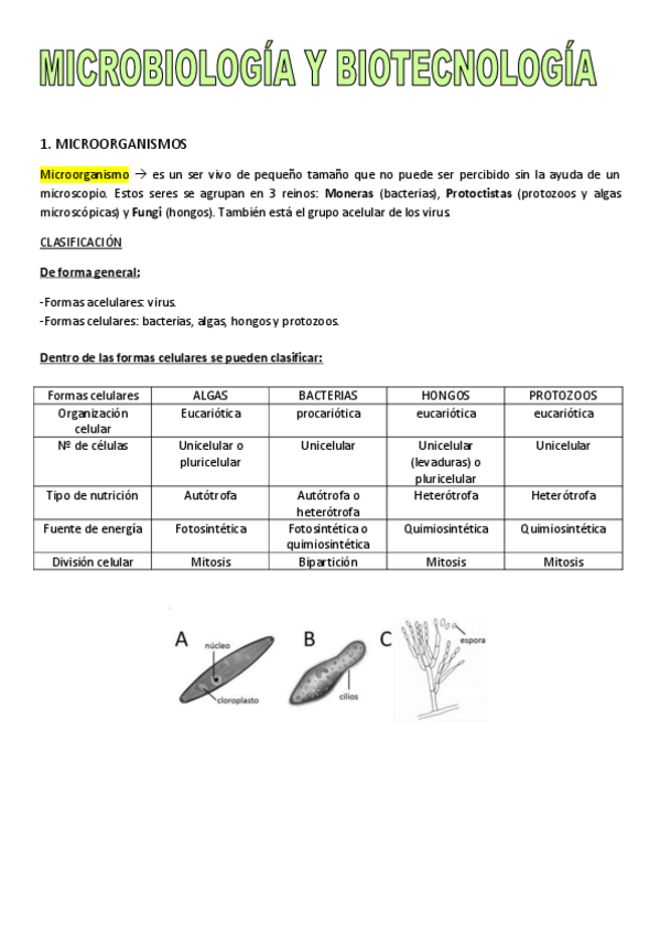 Miniatura del documento MICROBIOLOGIA.pdf