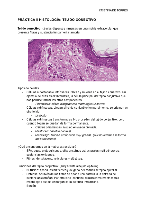 Miniatura del documento PRACTICA-II-HISTOLOGIA-TEJIDO-CONECTIVO.pdf
