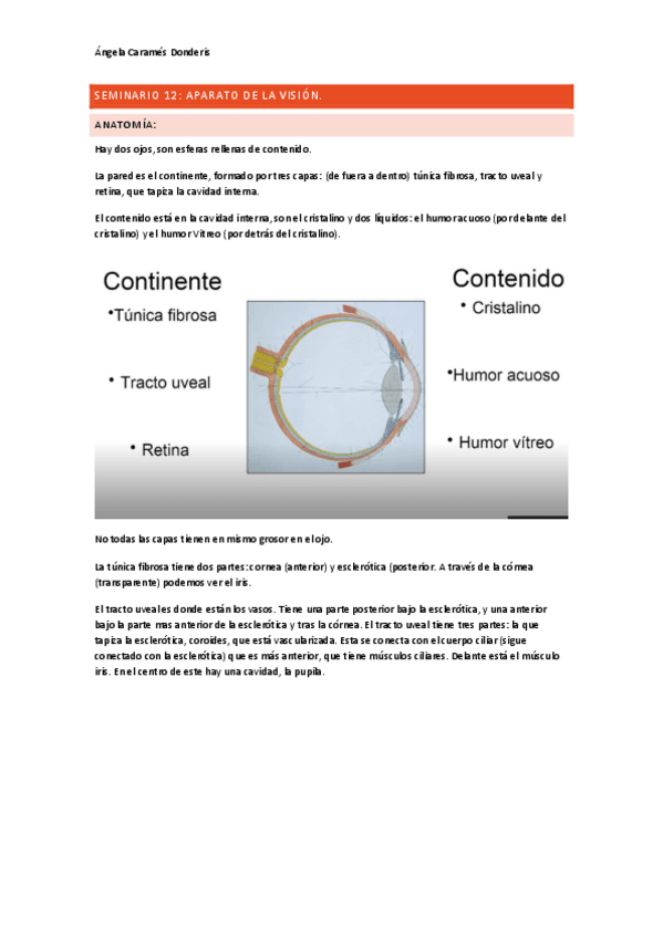 Miniatura del documento Seminario-12-aparato-de-la-vision.pdf