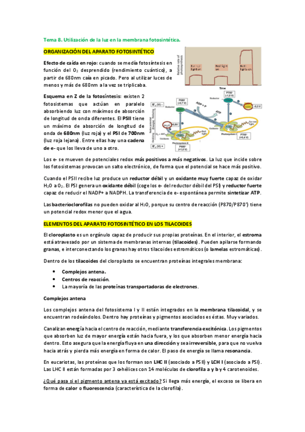 Miniatura del documento Tema-8.pdf