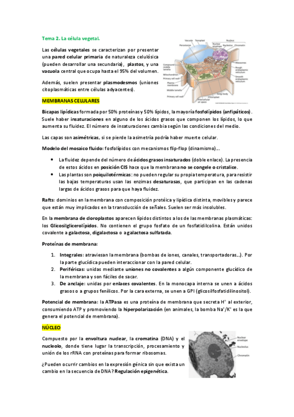 Miniatura del documento Tema-2.pdf