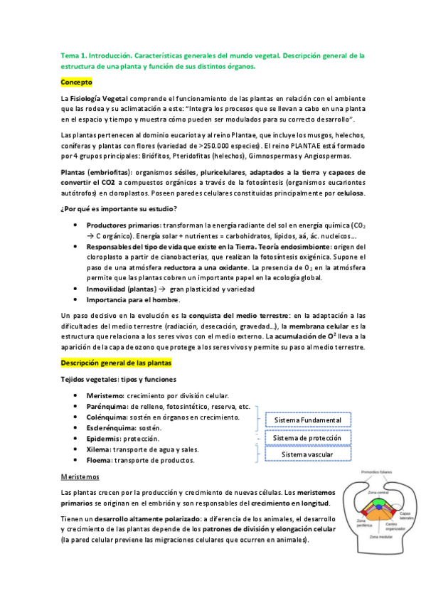 Miniatura del documento Tema-1.pdf