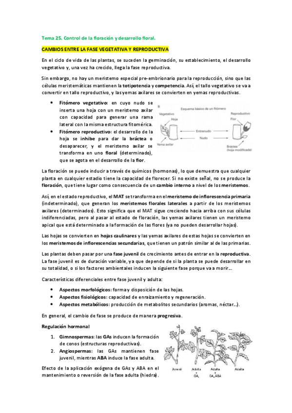 Miniatura del documento Tema-25.pdf
