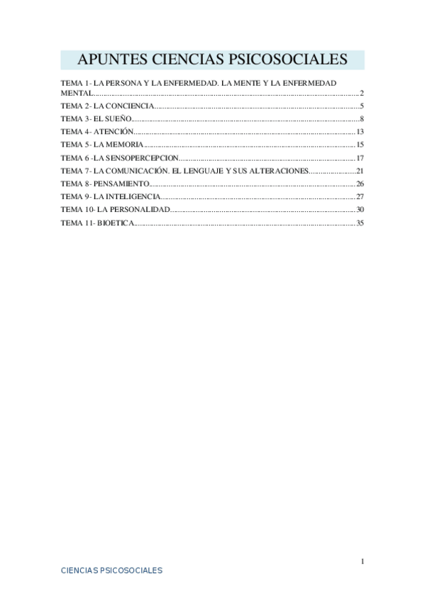 Miniatura del documento TEMAS-TEORICOS.docx