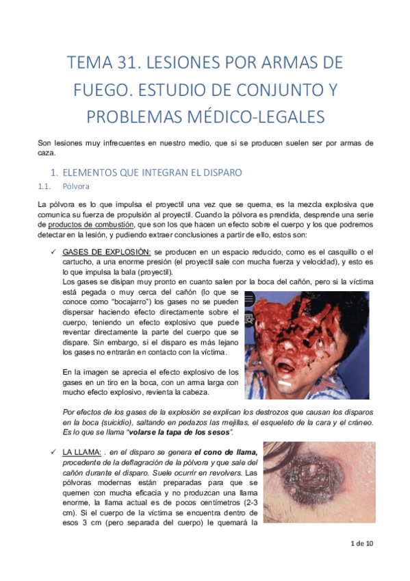 Miniatura del documento TEMA-31.pdf