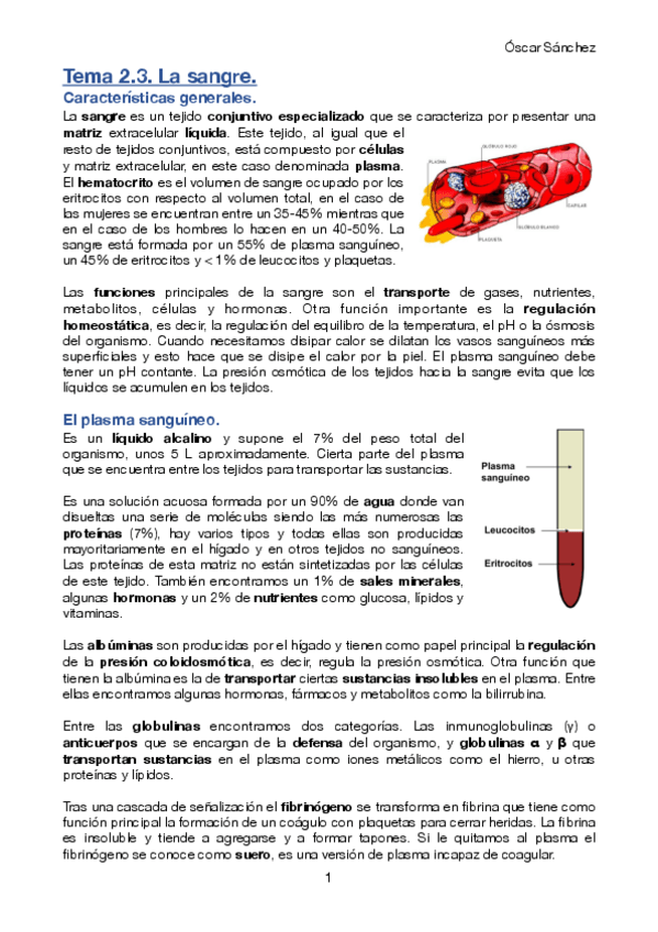 Miniatura del documento Tema-2-3-BCH-II.pdf