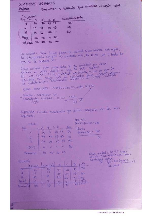 Miniatura del documento EjDemandaVariableRios.pdf
