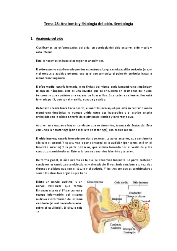 Miniatura del documento Tema-28-Anatomia-y-fisiologia-del-oido.pdf