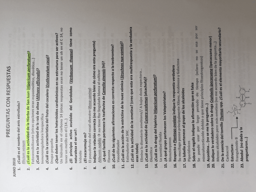 Miniatura del documento IMG_5154.JPG