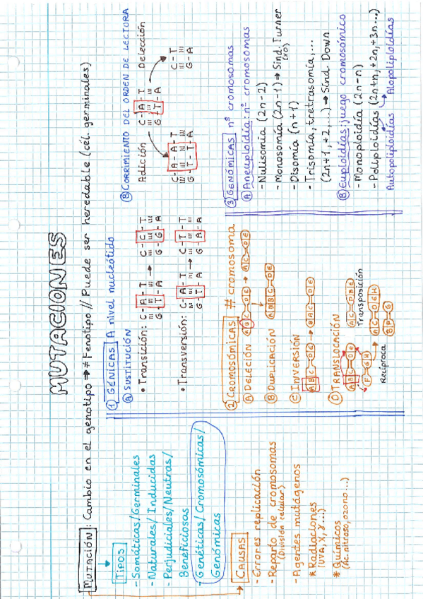 Miniatura del documento Mutaciones.pdf