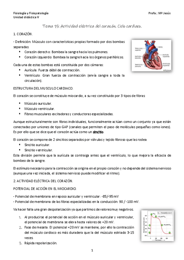 Miniatura del documento Tema-15.pdf