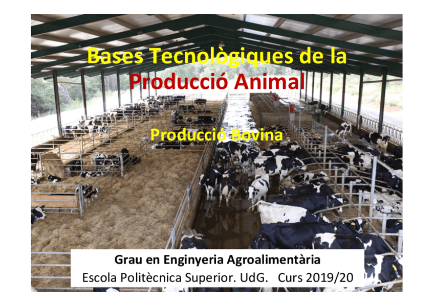 Miniatura del documento BOVINOU1920.pdf