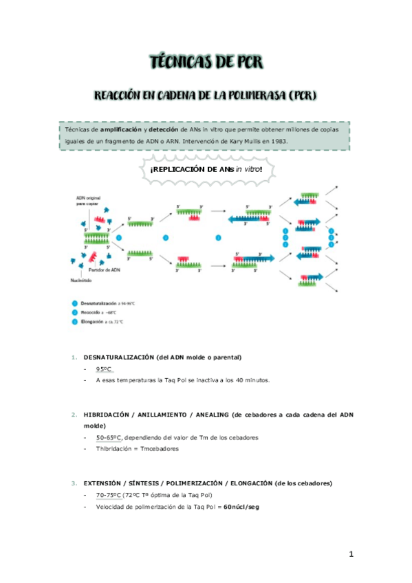 Miniatura del documento TECNICAS-DE-PCR.pdf