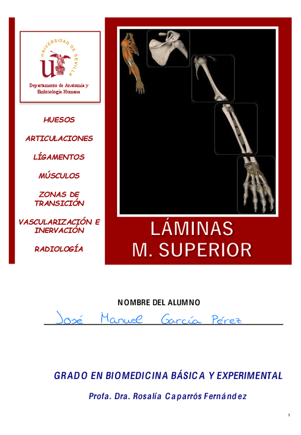 Miniatura del documento Laminas-3-Miembro-superior.pdf