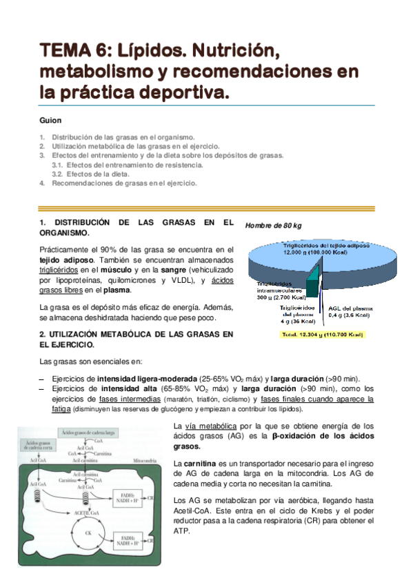 Miniatura del documento TEMA 6. Lípidos. Nutrición metabolismo y recomendaciones en la práctica deportiva.pdf