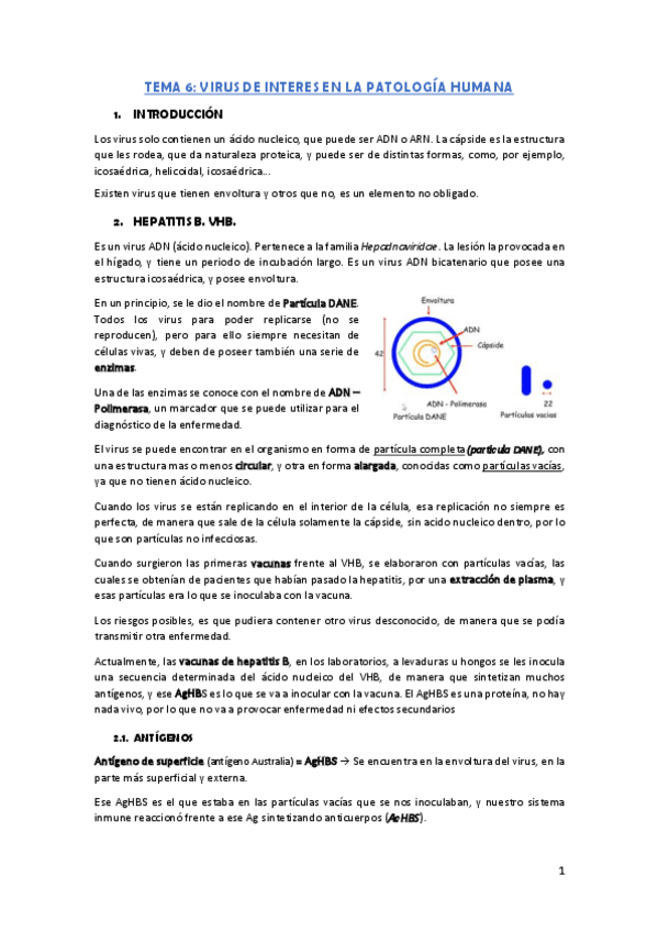 Miniatura del documento Tema-6.pdf