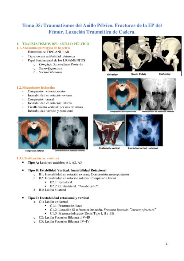 Miniatura del documento Tema-35.pdf