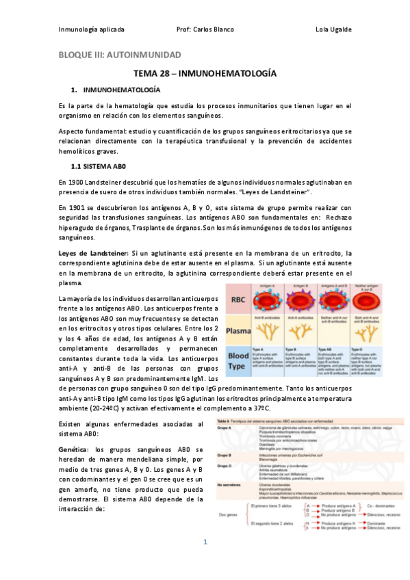 Miniatura del documento IA28.pdf
