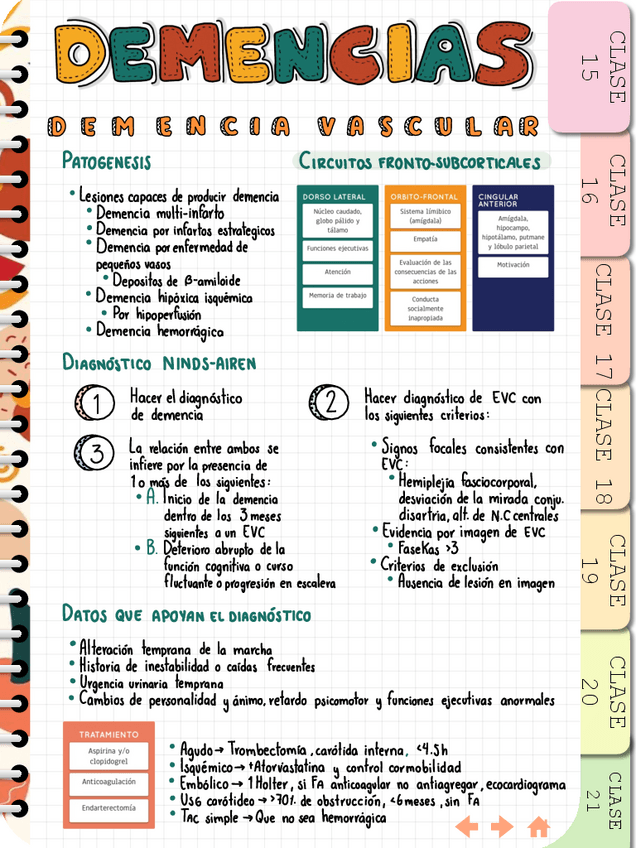 Miniatura del documento DEMENCIAS-.pdf