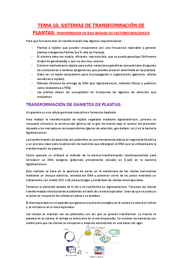 Miniatura del documento TEMA-10.pdf