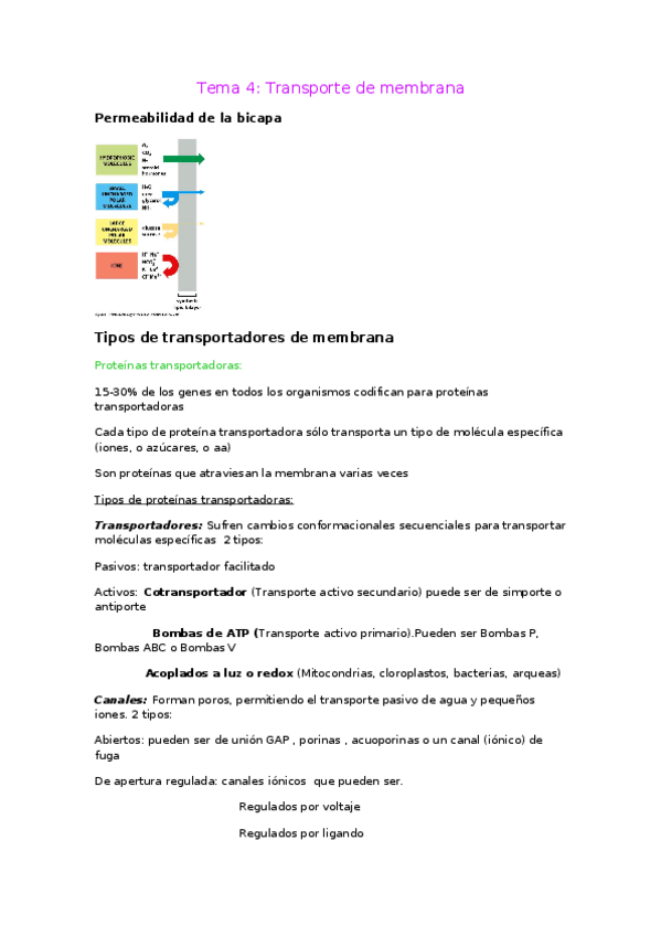 Miniatura del documento Tema-4-Biologia.docx