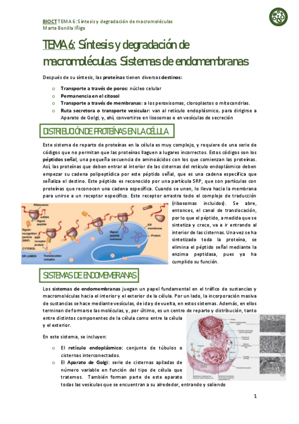 Miniatura del documento resumen-tema-5-BIOCT.pdf
