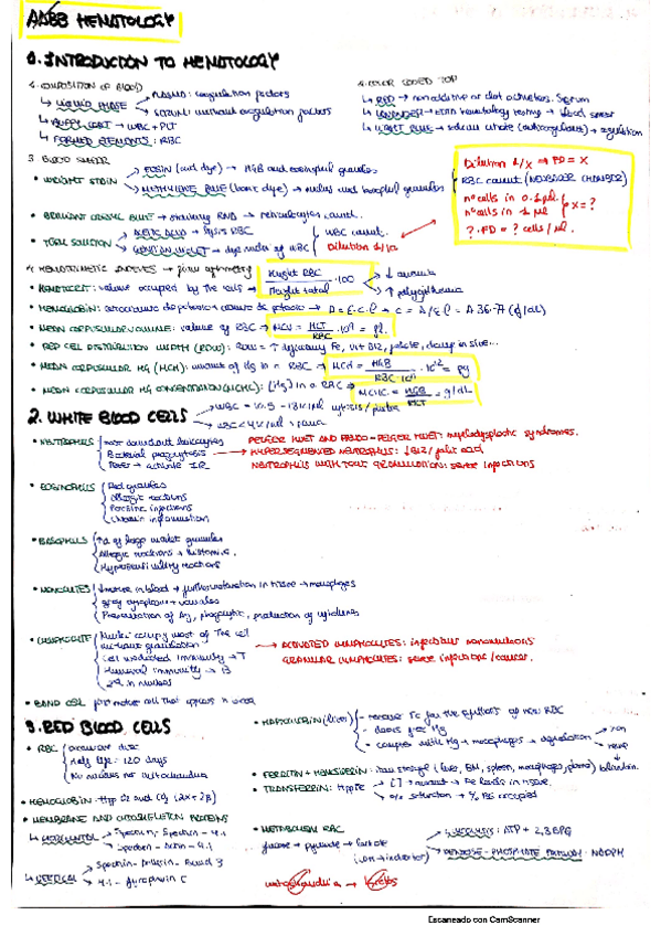 Miniatura del documento HEMATOLOGY-THEORY.pdf