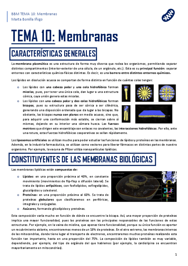 Miniatura del documento resumen-tema-10-BBM.pdf