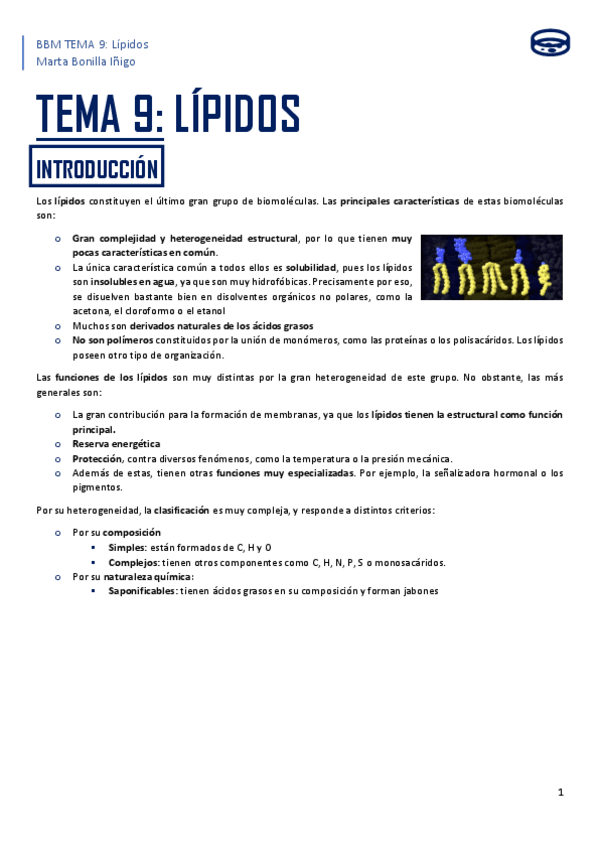 Miniatura del documento RESUMEN-TEMA-9-bbm.pdf