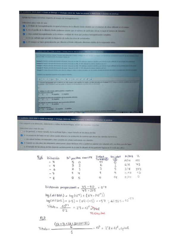 Miniatura del documento Examen-virologia-practicas-5-de-8-preguntas.pdf