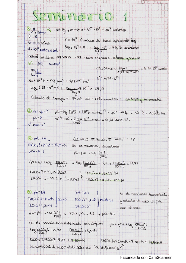 Miniatura del documento SEMINARIOS-BQ.pdf