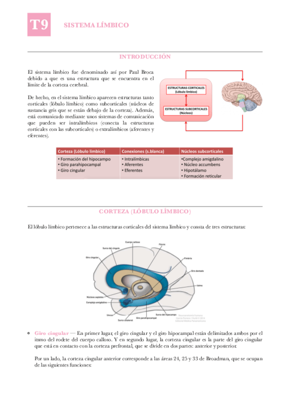 Miniatura del documento ANAT-T9-Sistema-limbico.pdf