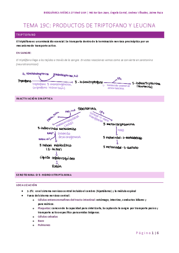 Miniatura del documento TEMA-19C-PRODUCTOS-DEL-TRIPTOFANO-Y-LEUCINA.pdf