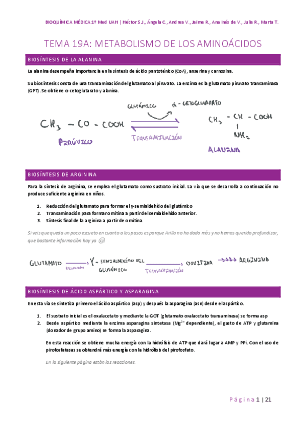 Miniatura del documento 19A-METABOLISMO-DE-LOS-AMINOACIDOS.pdf