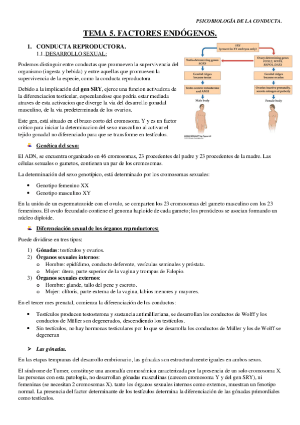 Miniatura del documento TEMA-5.pdf