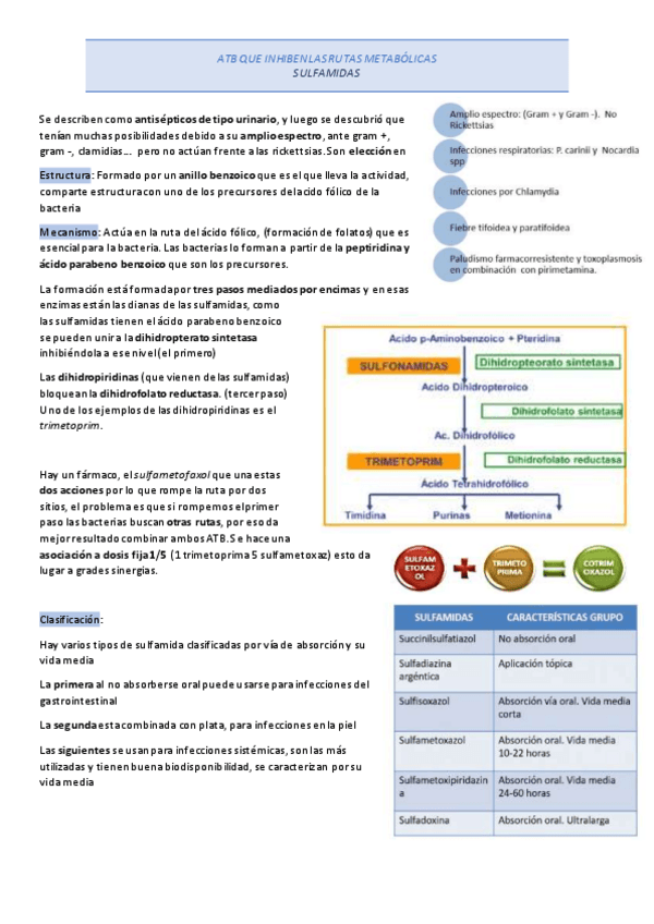 Miniatura del documento sulfamidas.pdf