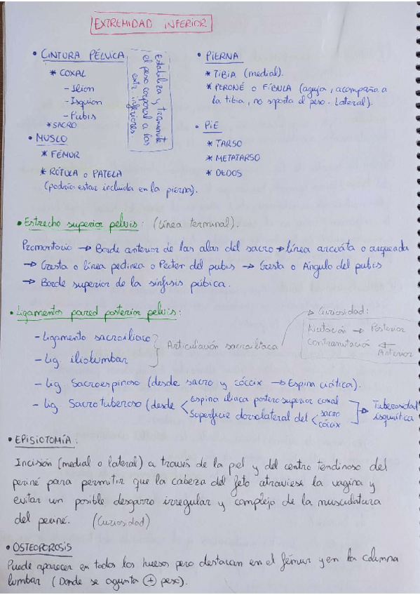 Miniatura del documento Extremidad-inferior-completa.pdf