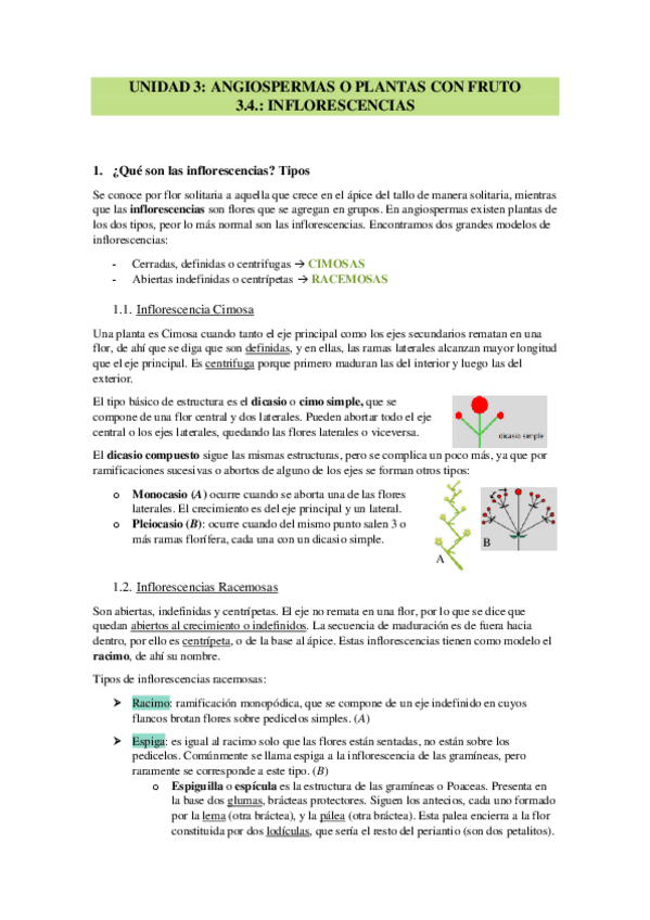 Miniatura del documento TEMA-3.pdf
