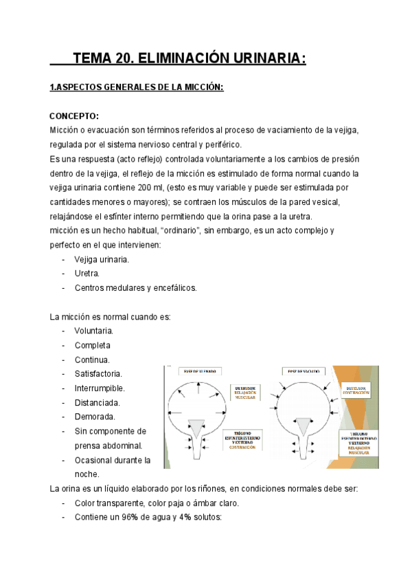 Miniatura del documento T20-.pdf