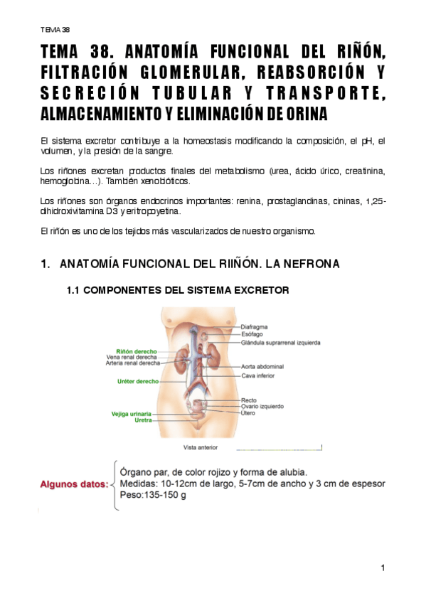 Miniatura del documento TEMA-38.pdf