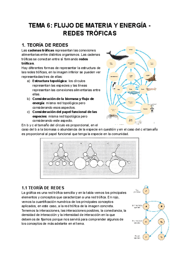 Miniatura del documento TEMA-6-FLUJO-DE-MATERIA-Y-ENERGIA-REDES-TROFICAS.pdf