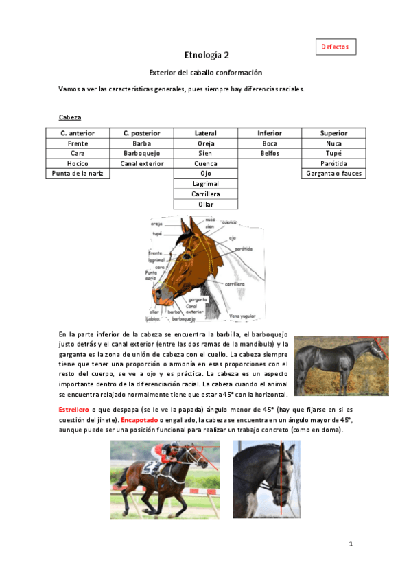 Miniatura del documento Etnologia-2.pdf