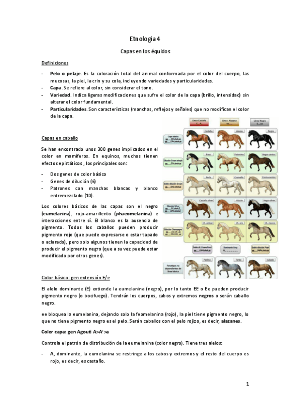 Miniatura del documento Etnologia-4.pdf