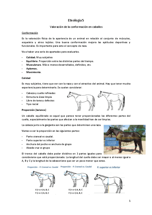 Miniatura del documento Etnologia-5.pdf