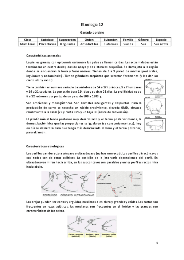 Miniatura del documento Etnologia-12.pdf