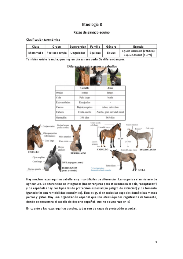Miniatura del documento Etnologia-8.pdf