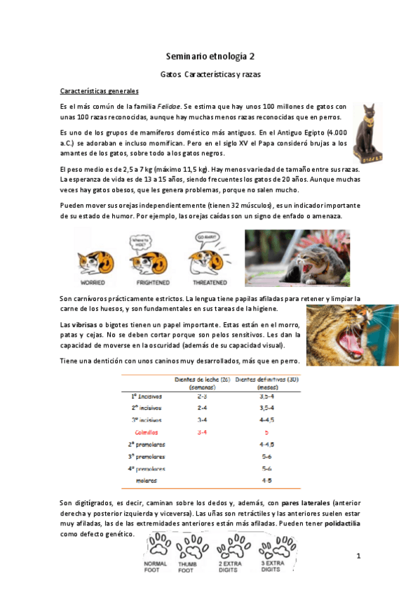 Miniatura del documento Seminario-etnologia-2.pdf